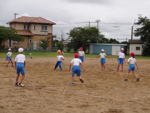 DSC02893 DSC02893