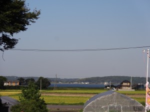 DSC03852 DSC03852
