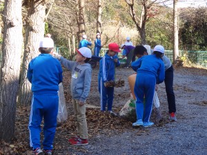 DSC07230 DSC07230