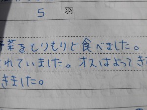 CIMG1797 CIMG1797