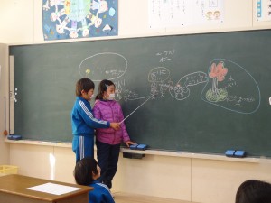 DSC08565 DSC08565