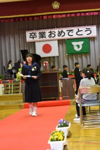 DSC_3997 DSC_3997