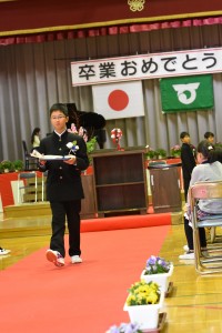 DSC_4001 DSC_4001