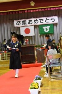 DSC_4004 DSC_4004