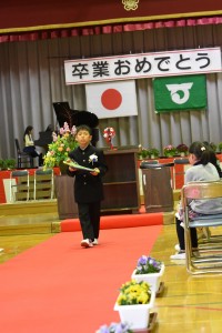 DSC_4015 DSC_4015