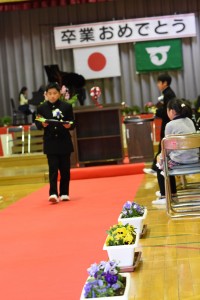 DSC_4019 DSC_4019
