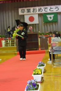 DSC_4024 DSC_4024