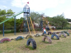 CIMG8116 CIMG8116