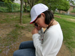 CIMG8190 CIMG8190