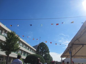 IMG_0001 IMG_0001