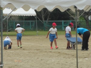 IMG_0003 IMG_0003