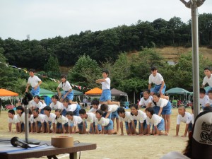 IMG_0009 IMG_0009