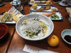 IMG_0009 IMG_0009