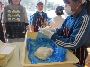 IMG_0006 IMG_0006
