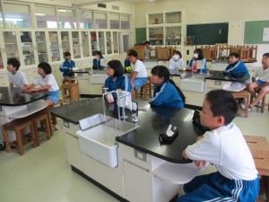 IMG_0007 IMG_0007