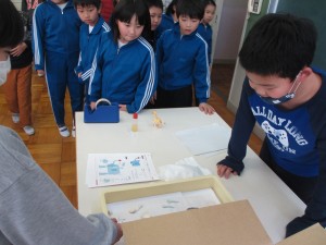 IMG_0016 IMG_0016