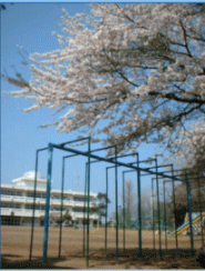 学校校庭