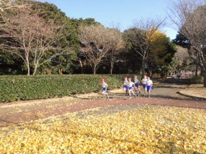 DSCN7352
