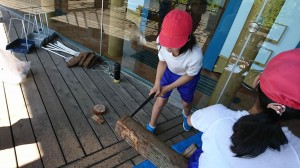 IMG_0437 IMG_0437