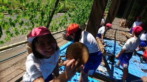 IMG_0443 IMG_0443