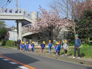 IMG_6783