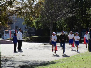 IMG_1134 IMG_1134