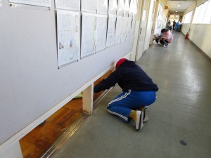IMG_1425 IMG_1425