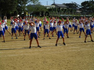 IMG_3136 IMG_3136