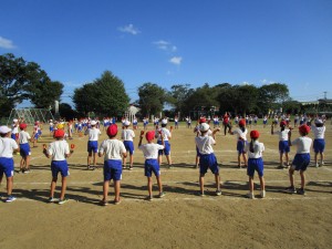 IMG_3143 IMG_3143