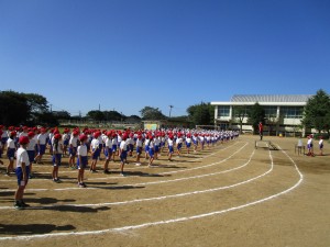 IMG_3156 IMG_3156