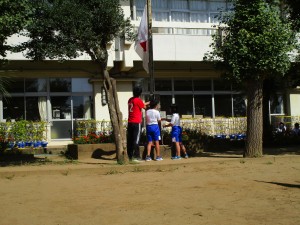 IMG_3166 IMG_3166