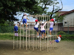 IMG_5118