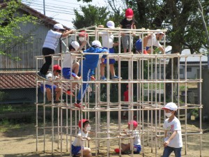 IMG_8088