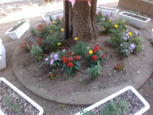 IMG_20230724_145514