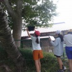 IMG_20240716_114250