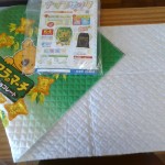 IMG_20240924_151438