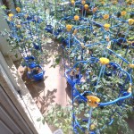 IMG_20250619_075705