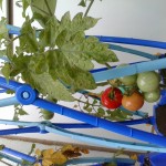 IMG_20260629_130718