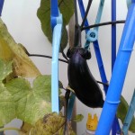 IMG_20260629_130734