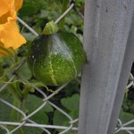 DSCN3245