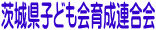 ��錧�q�ǂ���琬�A����