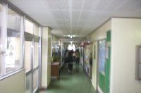 190223.JPG