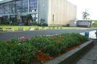 190502.jpg