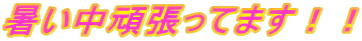 撣Ă܂II