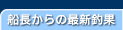 �D������̍ŐV�މ�