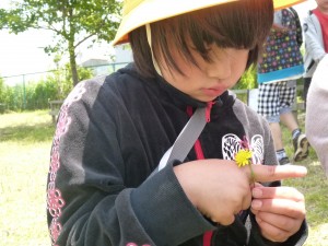 P1050291 おはなのゆびわ、できるかな、\\