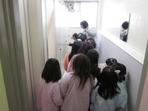 IMG_2566 IMG_2566