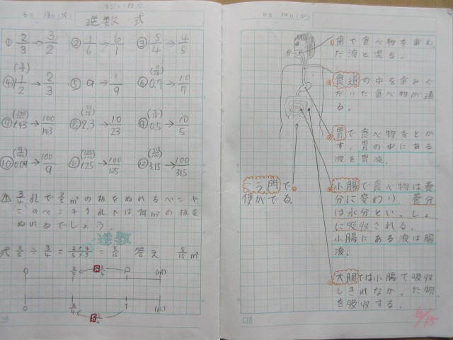 ６年自主学習ノート 鹿嶋市立高松小学校