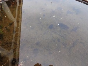 DSC05840