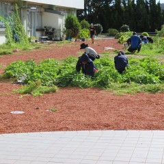 IMG_1838